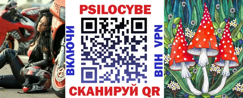 Купить где Красково Псилоцибиновые грибы Psilocybine cubensis