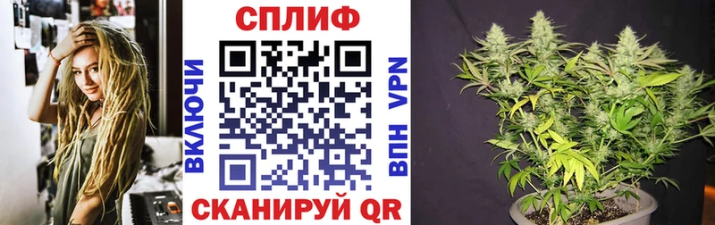 Купить  Красково  Каннабис MAZAR 